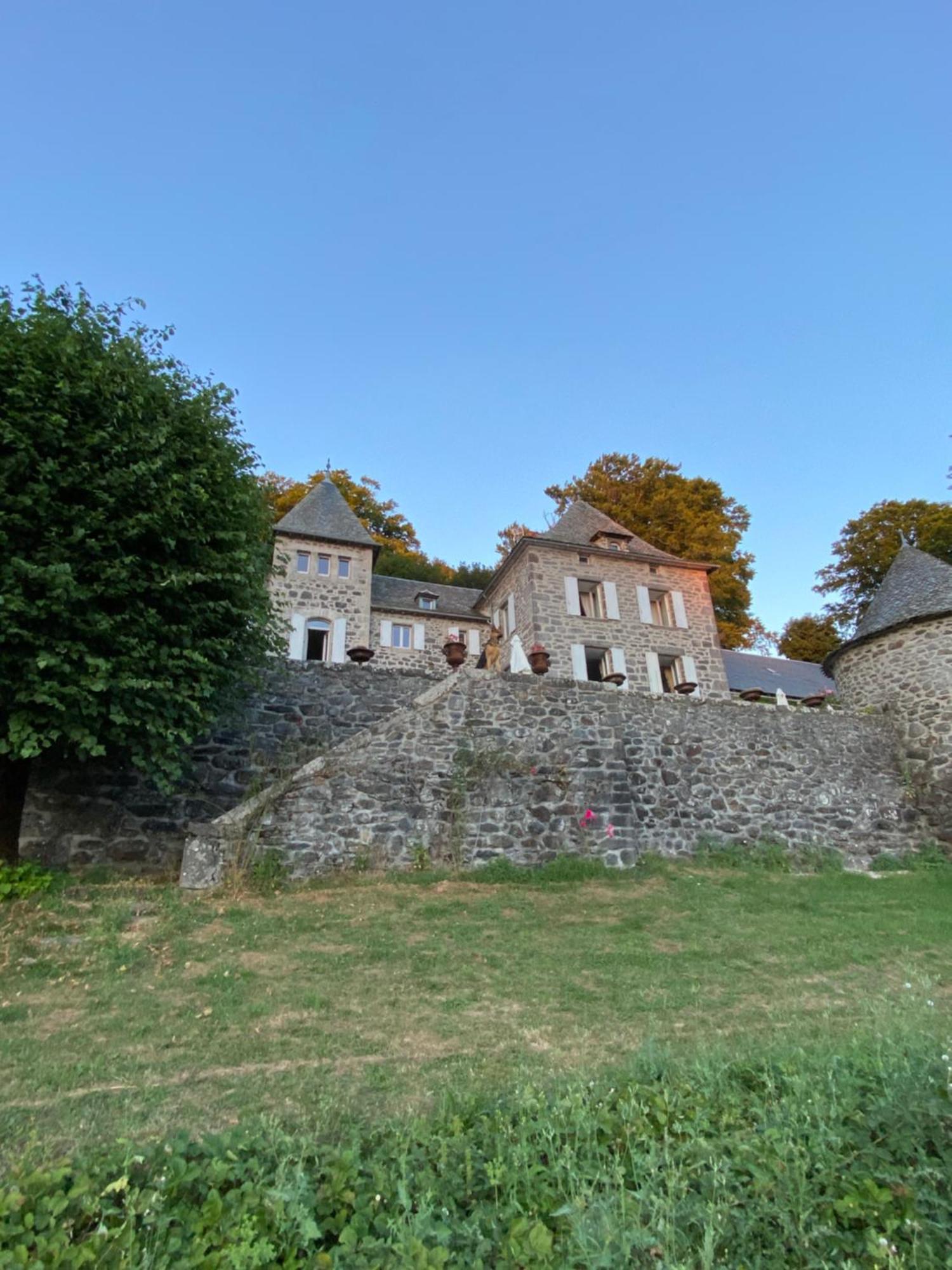 Chateau Du Puech Curieres Exterior photo
